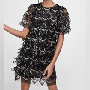 Zara Fringe Sequin Dress